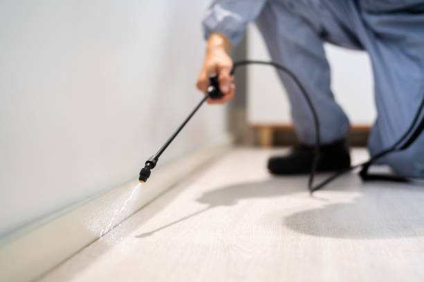 Licensed Mosquito Control service in Bethany, WV - Show Me Pest Control