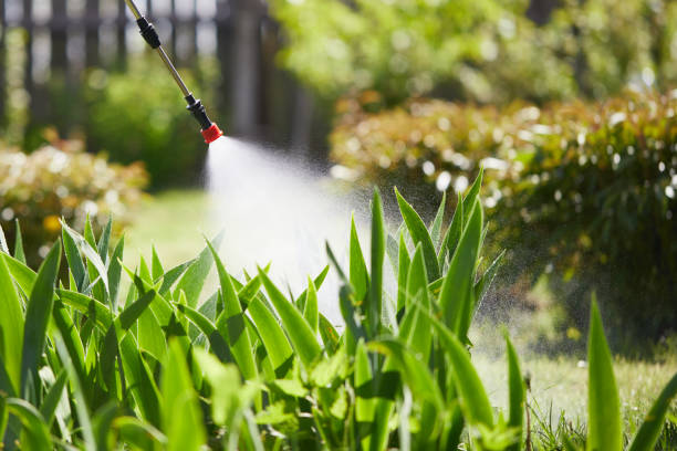 24/7 Emergency Mosquito Control experts in Bethany, WV